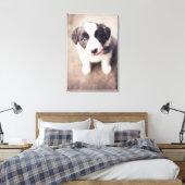 Toile Bordure Collie Chiot Avec Les Yeux Bleus (Insitu(Chambre))