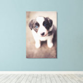 Toile Bordure Collie Chiot Avec Les Yeux Bleus (Insitu (Plancher de Bois))