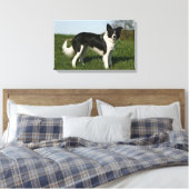Toile Bordure Collie Debout (Insitu(Chambre))