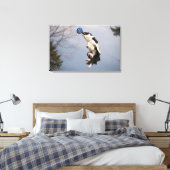 Toile Bordure Collie juste avant d'attraper la balle hau (Insitu(Chambre))