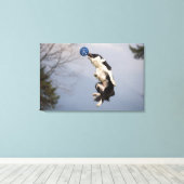 Toile Bordure Collie juste avant d'attraper la balle hau (Insitu (Plancher de Bois))