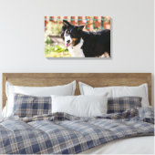 Toile Bordure Collie Panne 1 (Insitu(Chambre))
