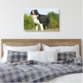Toile Bordure Collie Panne debout (Insitu(Chambre))