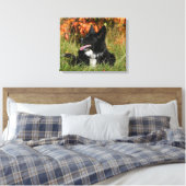 Toile Bordure Collie Panne S'Étalant (Insitu(Chambre))