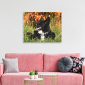 Toile Bordure Collie Panne S'Étalant (Insitu(Salon))