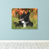 Toile Bordure Collie Panne S'Étalant (Insitu (Plancher de Bois))