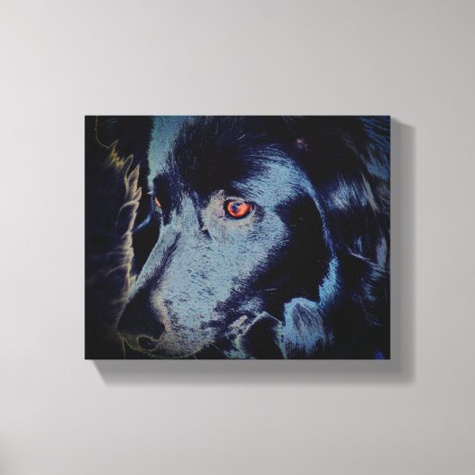 Toile Bordure noire Collie Visage de chien (Recto)