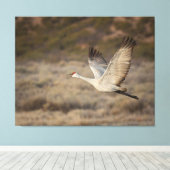 Toile Bosque del Apache NWR (Insitu (Plancher de Bois))