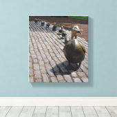 Toile Boston fait place aux colliers (Insitu (Plancher de Bois))