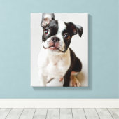 Toile Boston Terrier (Insitu (Plancher de Bois))