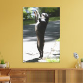 Toile Boston Terrier 2 (Insitu(Salon))