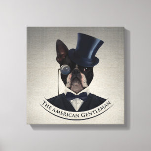 Toile Boston Terrier - le monsieur américain