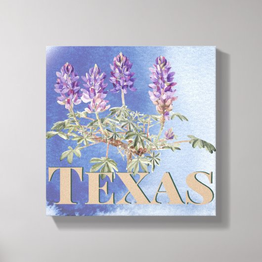 Toile Botanique Texas Bluebonnet 2 (Recto)