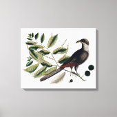 toile botanique vintage (Recto)