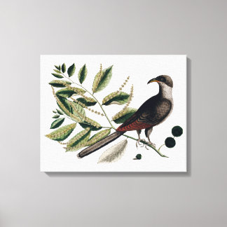 toile botanique vintage