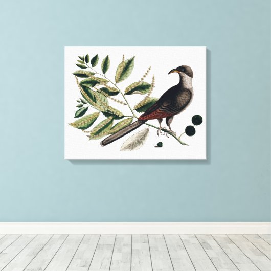 toile botanique vintage (Insitu (Plancher de Bois))