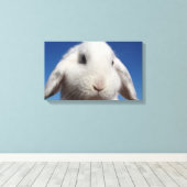 Toile Boucle blanche (Insitu (Plancher de Bois))