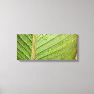 Toile Boues d'eau sur la feuille photo