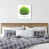 Toile Boule de mousse Marimo dessinée à la main  (Insitu(Chambre))