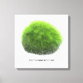 Toile Boule de mousse Marimo dessinée à la main  (Recto)