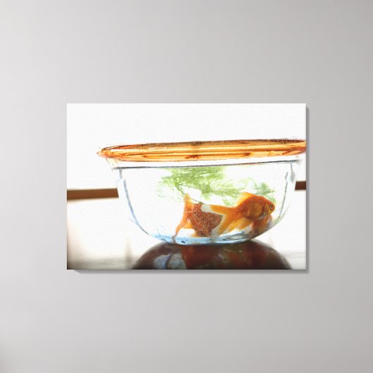 Toile Boule de poisson d'or (Recto)