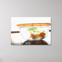 Boule de poisson d'or