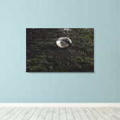 Toile Boule de rugby boueuse assise sur une herbe mâchée (Insitu (Plancher de Bois))