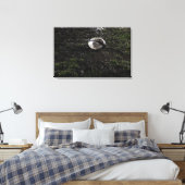 Toile Boule de rugby boueuse assise sur une herbe mâchée (Insitu(Chambre))