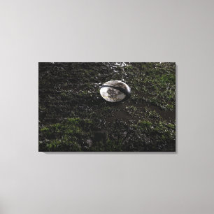 Toile Boule de rugby boueuse se reposant sur mâché ver