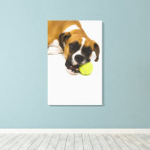Toile Boule de tennis de chien (Insitu (Plancher de Bois))