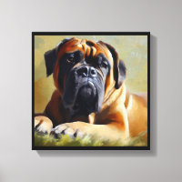 Bouledogue Mastiff