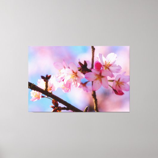 Toile Bouquet De Fleurs Sakura À L'Ombre D'Un Arbre (Recto)