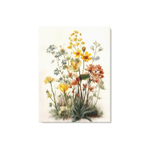 Bouquet de prairie fleurie