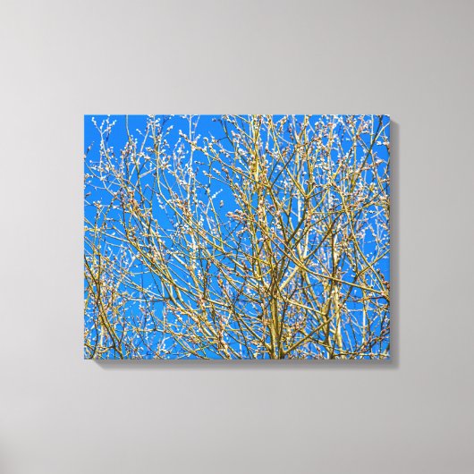 Toile Bourgeons De Saule - Matin Du Printemps (Recto)