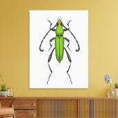 Toile Bousier vert (Insitu(Salon))