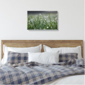 Toile Boutons de ragoût (Insitu(Chambre))