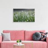 Toile Boutons de ragoût (Insitu(Salon))