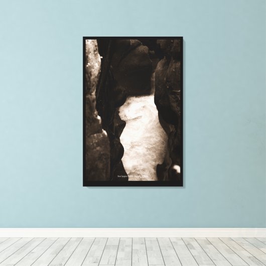 Toile Box Canyon (Insitu (Plancher de Bois))