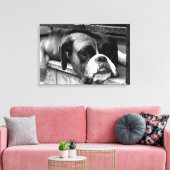 Toile Boxer Dog On Windowsill 24x16 (60x40cm) waccnm (Insitu(Salon))