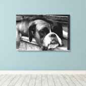 Toile Boxer Dog On Windowsill 24x16 (60x40cm) waccnm (Insitu (Plancher de Bois))