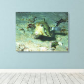 Toile Boxfish - tellement mignon ! Au-dessus d'une zone (Insitu (Plancher de Bois))