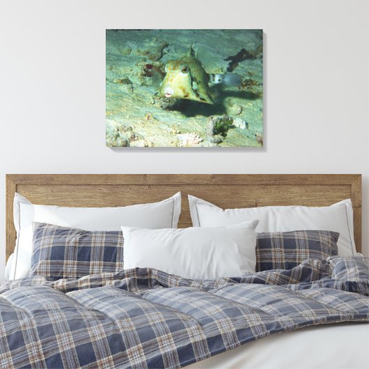 Toile Boxfish - tellement mignon ! Au-dessus d'une zone (Insitu(Chambre))