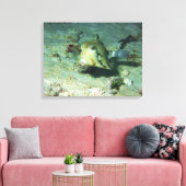 Toile Boxfish - tellement mignon ! Au-dessus d'une zone (Insitu(Salon))