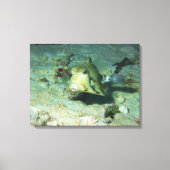Toile Boxfish - tellement mignon ! Au-dessus d'une zone (Recto)