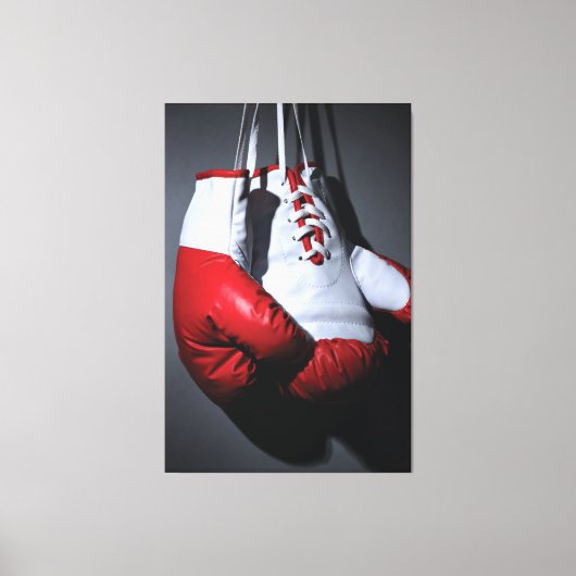 Toile Boxing gloves  (Recto)