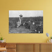 Toile Boy Picking Cotton Photographie West, Texas (Insitu(Salon))