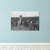 Toile Boy Picking Cotton Photographie West, Texas (Insitu (Plancher de Bois))