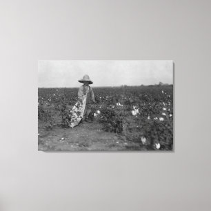 Toile Boy Picking Cotton Photographie West, Texas