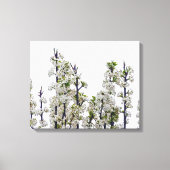 Toile Bradford Pear Blossoms (Recto)