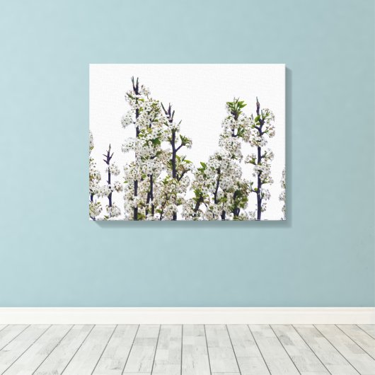 Toile Bradford Pear Blossoms (Insitu (Plancher de Bois))